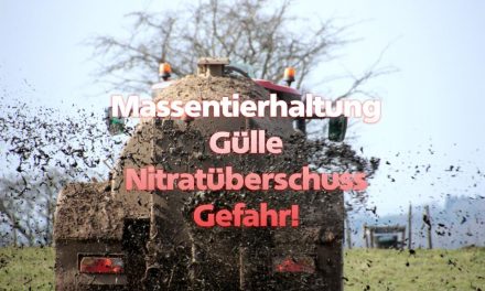 Nitrate im Grundwasser – eine Zeitbombe!