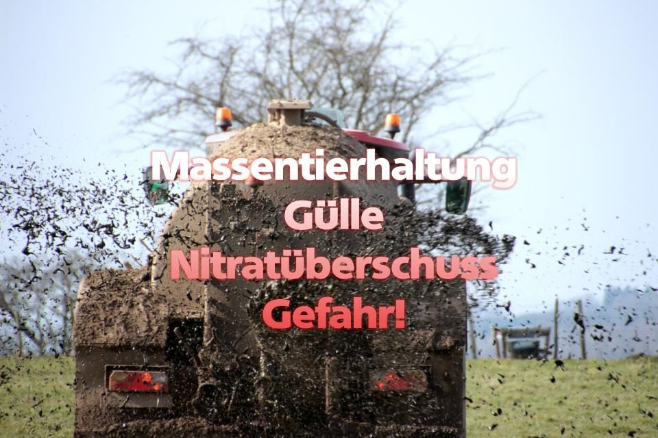 Nitrate im Grundwasser – eine Zeitbombe!