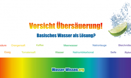 Ist basisches Wasser eine Lösung gegen Übersäuerung?