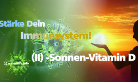 Vitamin D und unser Immunsystem