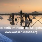 Guten Appetit: Fleur de Sel – eine Prise Plastik für Ihr Essen!