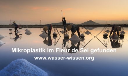 Guten Appetit: Fleur de Sel – eine Prise Plastik für Ihr Essen!