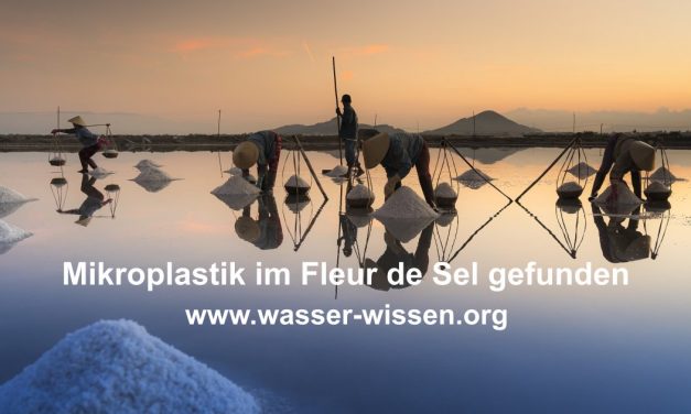 Guten Appetit: Fleur de Sel – eine Prise Plastik für Ihr Essen!