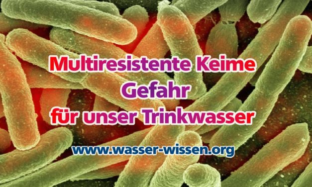 Neue Gefahr aus dem Wasser: multiresistente Keime entdeckt