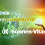 Vitamin D und unser Immunsystem
